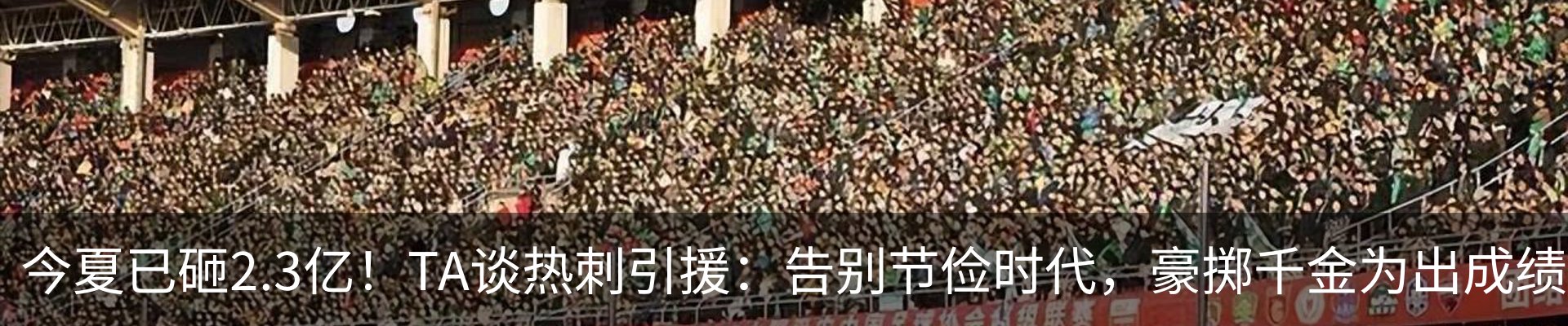 新闻动态