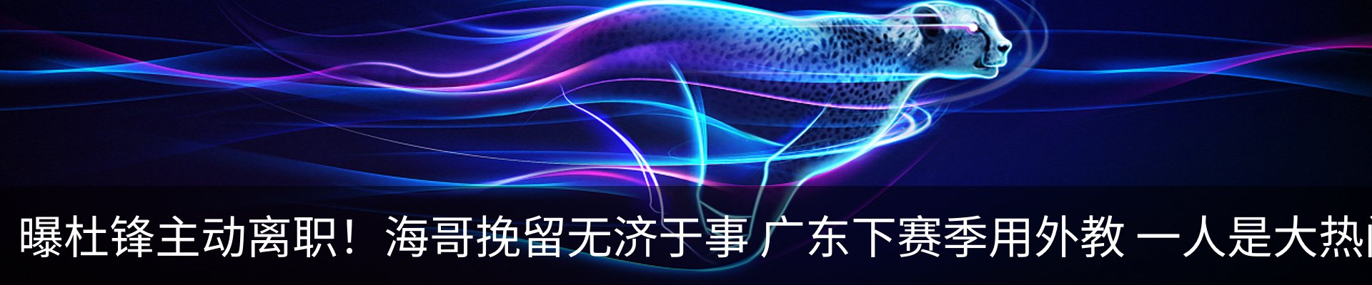 新闻动态