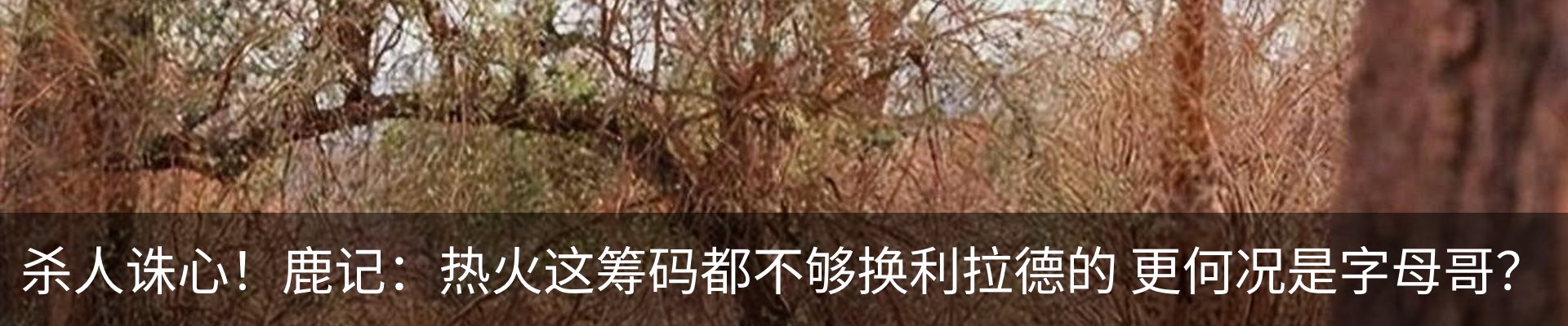 新闻动态