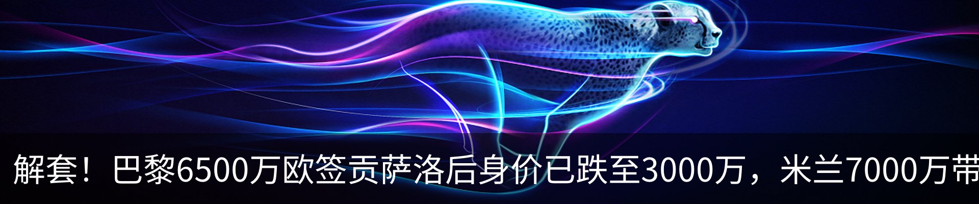 新闻动态